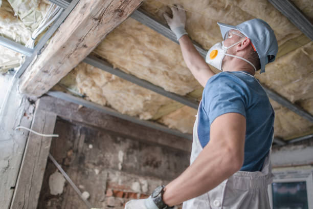 Best Residential Insulation in Lakeland Highlands, FL