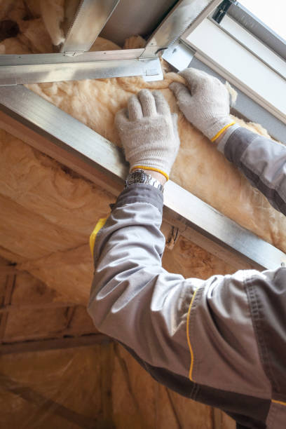 Best Cellulose Insulation in Lakeland Highlands, FL